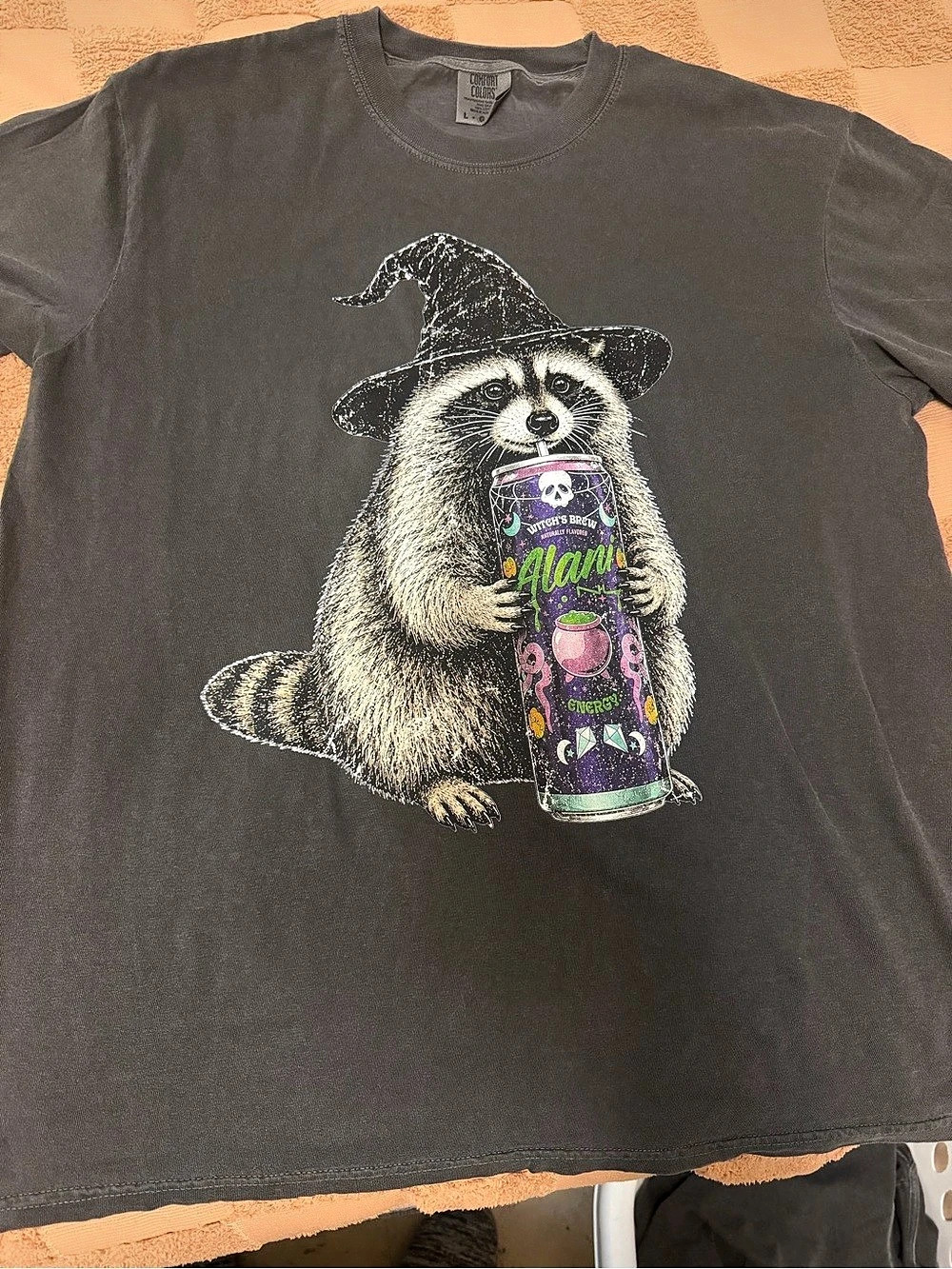 Comfort Colors Raccoon Graphic Tee in Black